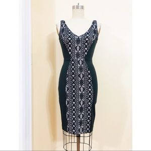 French Connection Lace Panel Dress